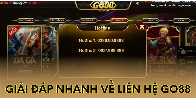 Giải đáp nhanh về liên hệ Go88